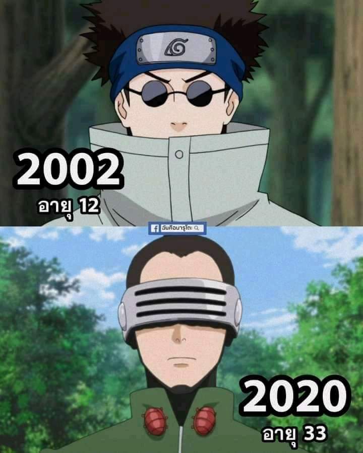 Shino Aburame é um personagem da série de anime e mangá "Naruto". Ele faz parte do Time 8, juntamente com seus colegas de equipe Kiba Inuzuka e Hinata Hyuga, liderados pelo sensei Kurenai Yuhi. Shino é conhecido por sua personalidade calma, reservada e misteriosa. Ele é bastante introvertido e tende a falar pouco, preferindo observar as situações ao seu redor. Shino é um especialista em técnicas relacionadas a insetos e utiliza-os em suas batalhas. Ele possui uma conexão especial com os insetos, sendo capaz de controlá-los e até mesmo se comunicar com eles. Desde muito jovem, Shino desenvolveu um interesse pelos insetos. Ele os considera seres fascinantes e acredita que, assim como os humanos, eles têm seu próprio papel na natureza. Shino carrega uma bolsa cheia de insetos, permitindo que ele libere diferentes espécies para se adaptarem às situações de combate. Durante as batalhas, Shino geralmente prefere deixar seus insetos agirem por ele, enquanto ele observa a situação e analisa as fraquezas do oponente. Essa abordagem estratégica e sua habilidade de controlar uma variedade de insetos tornam-no um adversário formidável. Apesar de sua natureza reservada, Shino é um amigo leal e está sempre disposto a ajudar seus companheiros de equipe. Ele valoriza a harmonia do trabalho em equipe e confia nas habilidades de seus colegas para complementar as suas próprias. Ao longo da série, Shino passa por um desenvolvimento pessoal significativo. Ele aprende a confiar mais em seus amigos e a se expressar melhor, superando sua tendência natural de ser distante. Sua determinação em se tornar mais forte o leva a enfrentar desafios e a aprimorar suas habilidades. Shino Aburame é um personagem único em "Naruto", com sua personalidade peculiar e suas habilidades distintas. Sua dedicação aos insetos e sua abordagem estratégica nas batalhas o tornam um ninja fascinante de se assistir. Sua jornada de crescimento pessoal o transforma em um membro valioso da equipe e um aliado confiável para seus amigos.